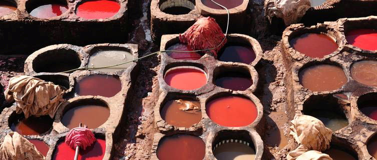 Traditional tannery in Fes