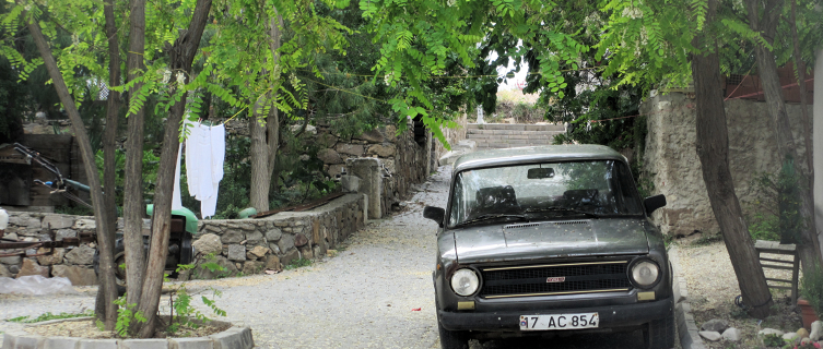 A car keeps cool under the shade of a tree