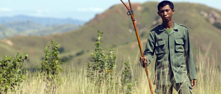 A forked staff may be your only defense against dragon charges