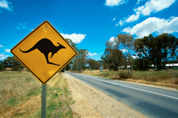 Oscar hopes to explore Australia in the future