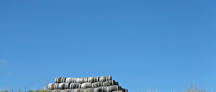 Barrels form part of the landscape near the Speyside Cooperage 