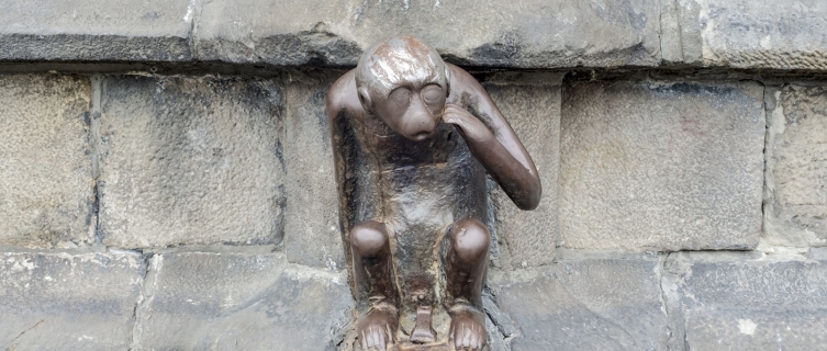Caress the lucky monkey and your dreams will come true