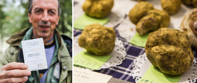 Gianni shows his truffle hunting licence and some tartufo bianco