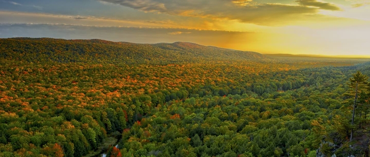 Go on the trail of Bigfoot in Michigan's forestland