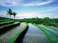 Indonesia has an enticing culture and dramatic scenery