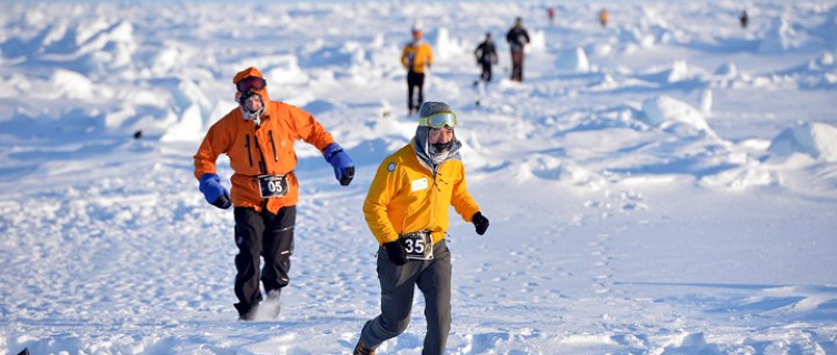 Beware of polar bears at 
