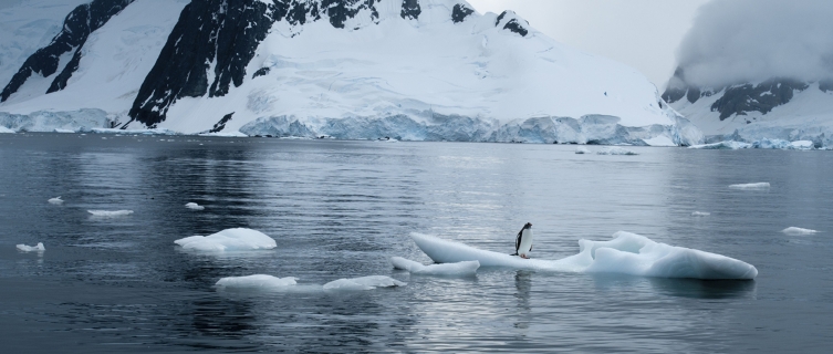 Remote Bouvet is a nature reserve for seals, whales and seabirds