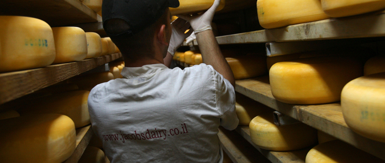 The double Gloucester rolled at the Wake was made in October