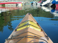 See orcas, eagles and kingfishers.