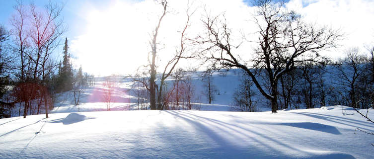 Enjoy snowshoeing across unspoilt wildnerness in Sweden