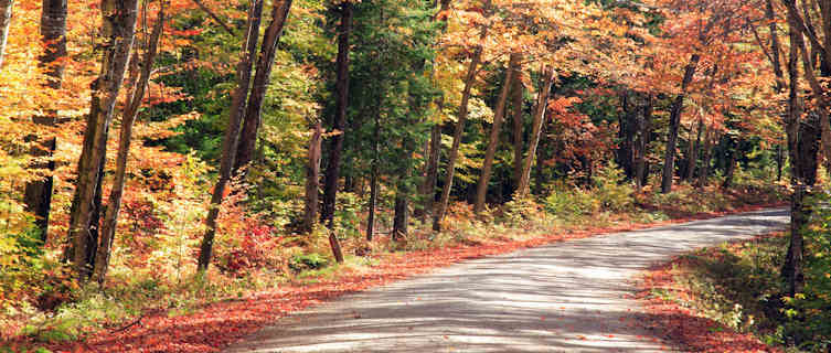 Fall foliage, Vermont