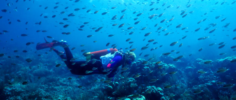 Fantastic diving in St Vincent