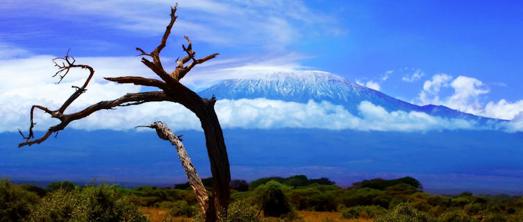 Kilamanjaro, Tanzania