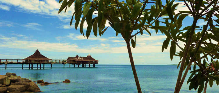 Le Roof, New Caledonia