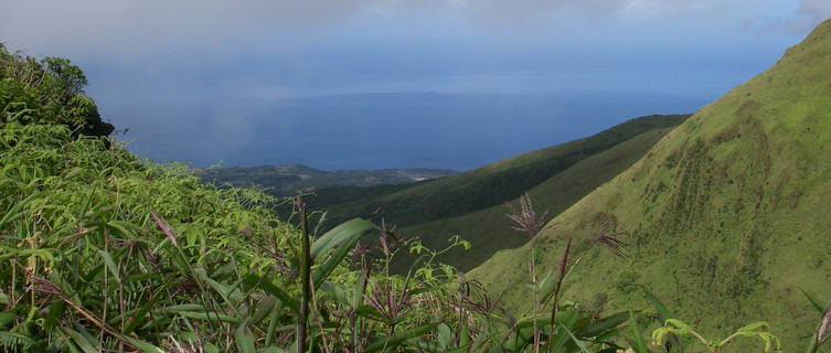 Montagne Pelee