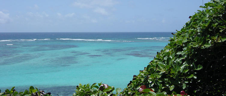 Petit St Vincent