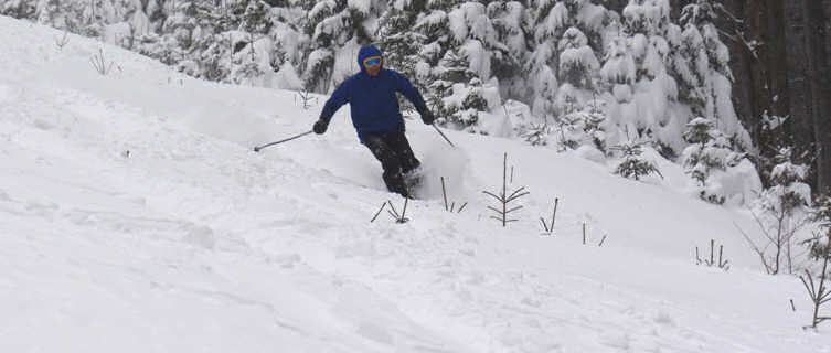 Skier, Bled