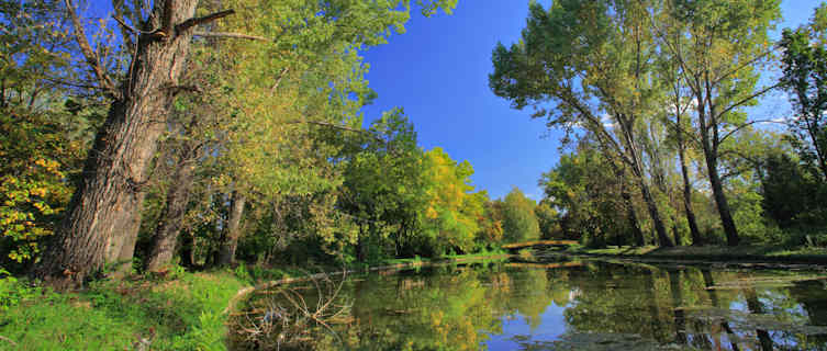 Skopje is the Macedonian capital