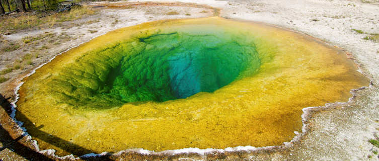 The Morning Glory Pool, Yellowstone National Park