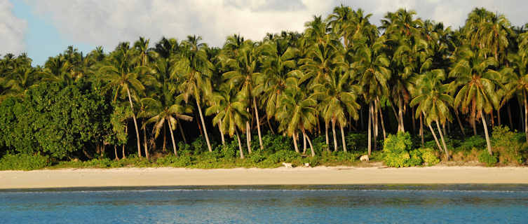Tongan Beach