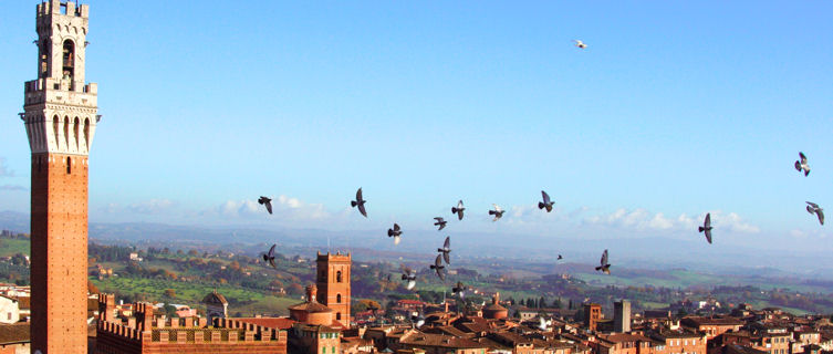 View over Siena