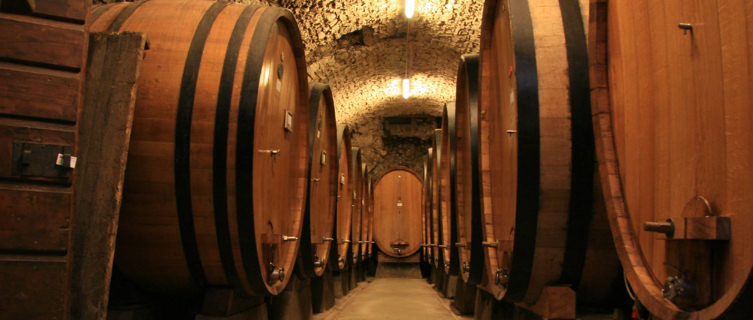 Wine cellar in Siena