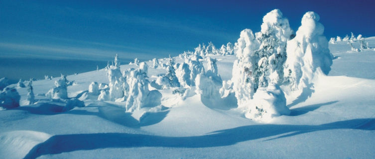 Yellowstone National Park, a Winter Wonderland